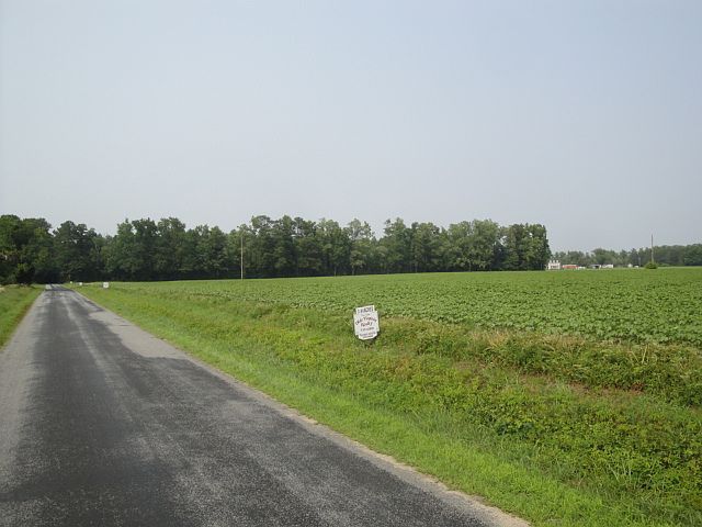 1st image of 3.83 Acres Kingsale Road