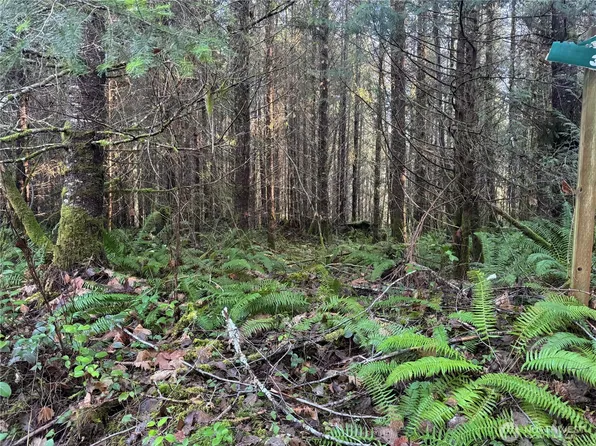 233 Shy Bear Road, Toutle, WA 98649