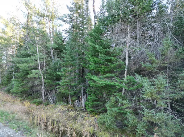 41 Southgate Road, Old Town, ME 04468