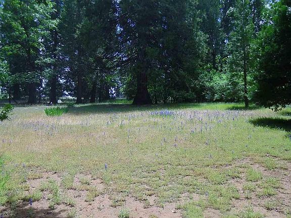 3rd image of 22275 Shake Ridge Rd