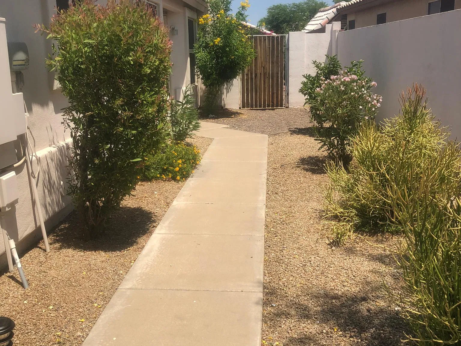 4028 E Desert Marigold Dr — Photo 3