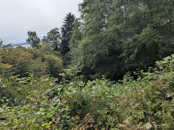 0 Lamontay Lot #6 Place, Ilwaco, WA 98624