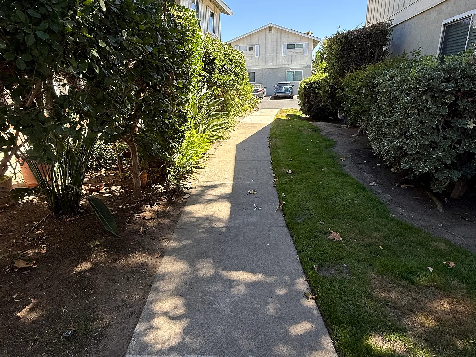 2 bed, 1.5 bath, 1050 sqft, $3,100 — Photo 2