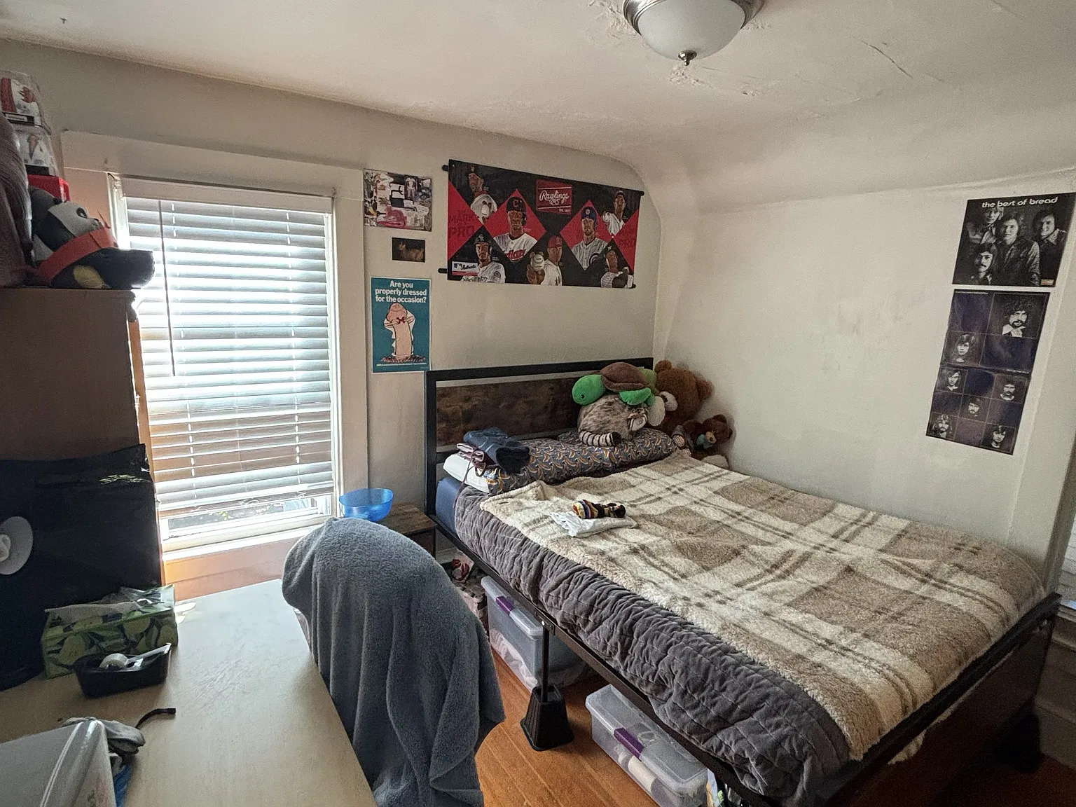4 bed, $3,800 — Photo 4