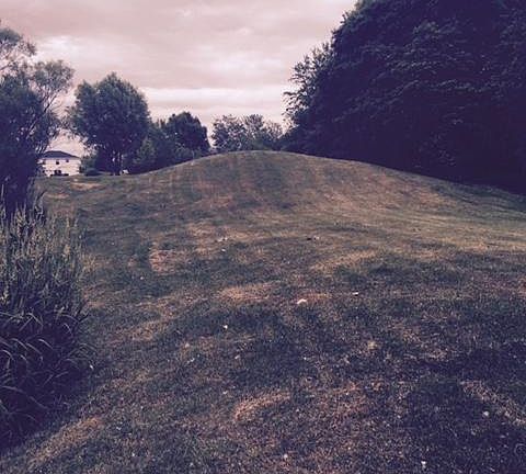 4th image of 11452 Barkton Dr
