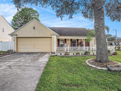 16201 Country Crossing Dr, Tampa, FL, 33624