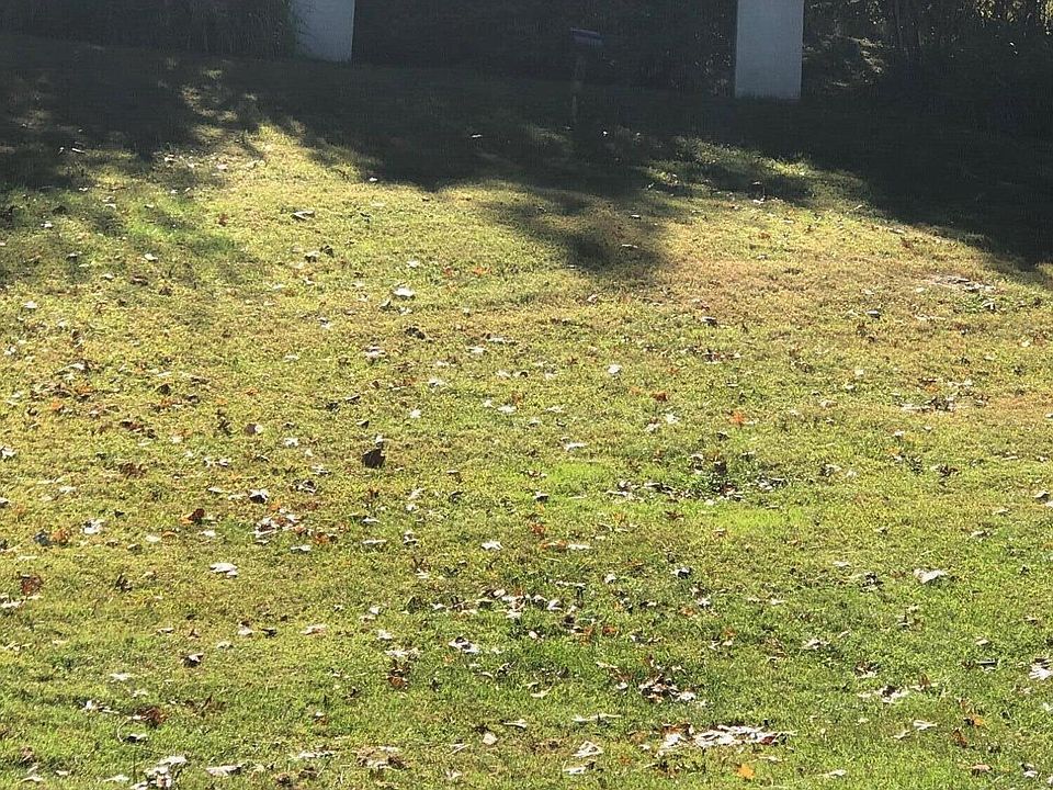 2nd image of Walelu Trl
