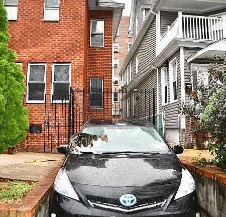 3rd image of 4141-77 B St