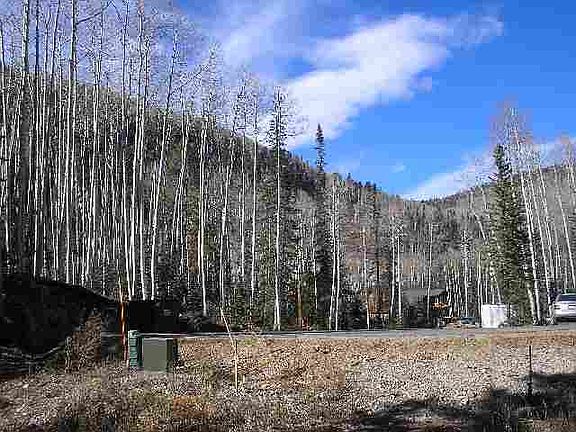 4th image of 83 Storm Peak Dr