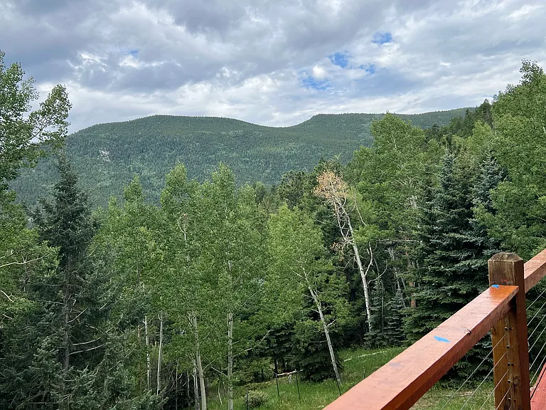 Snyder Mountain Rd — Photo 26