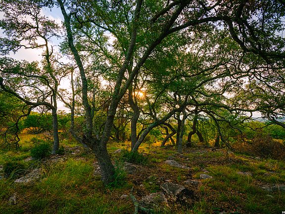 2nd image of 000 Rambling Oaks Ranch LOT 5