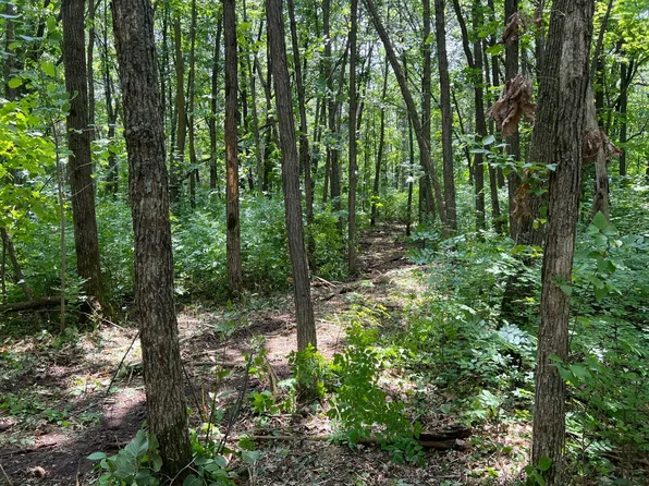 0 Cross Lake Rd, Pine City, MN 55063