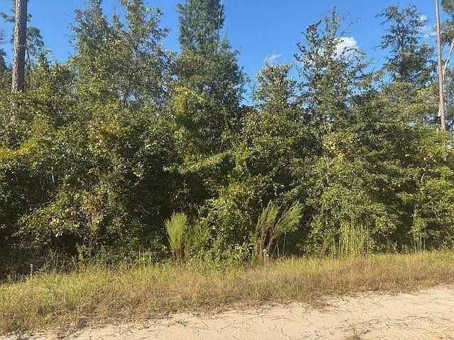 2nd image of 0 Mulberry Drive