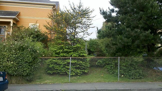 2nd image of 1603 Pine St APT 2
