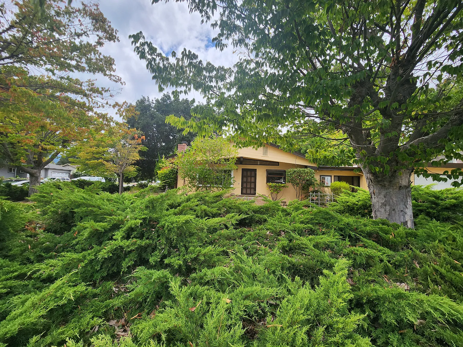 3 bed, 1130 sqft, $5,500 — Photo 1
