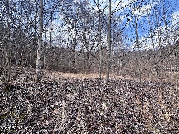 3rd image of 603 Sled Creek Rd