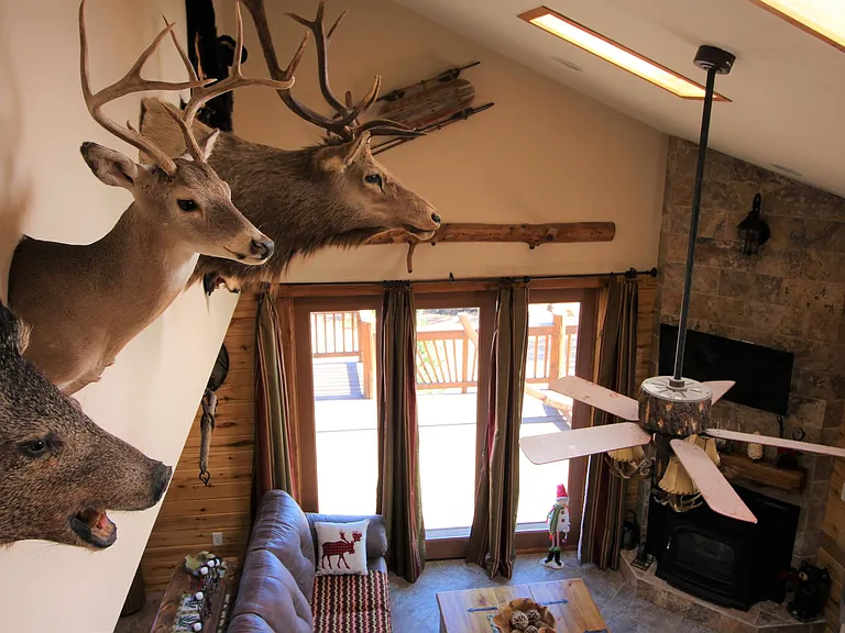 E Coues Deer Ln — Photo 16