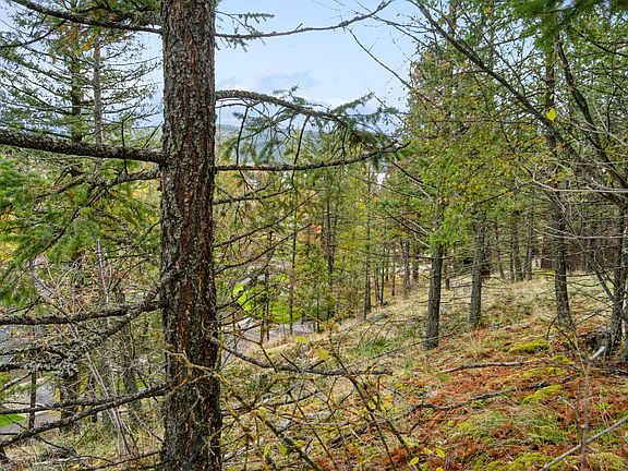 4th image of 25 Ponderosa Ln