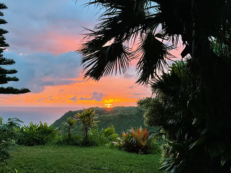 Backyard view