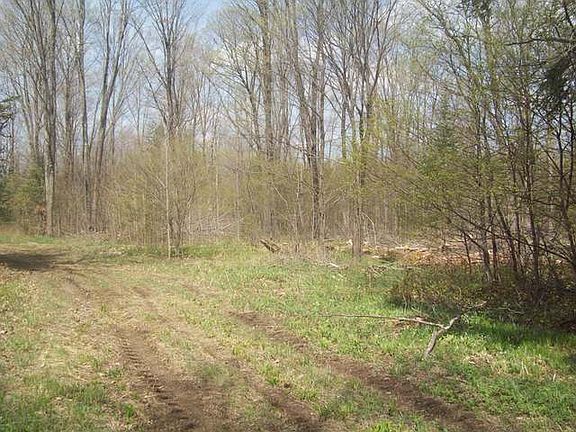 3rd image of Near Spring Brook Ave