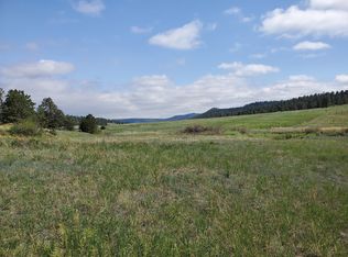 466 Spring Valley Dr, Florissant, CO 80816