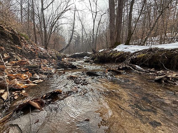 Grampus Branch stream flowing through the main part of the property