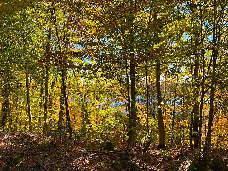 2nd image of 52-1-13 Route 28