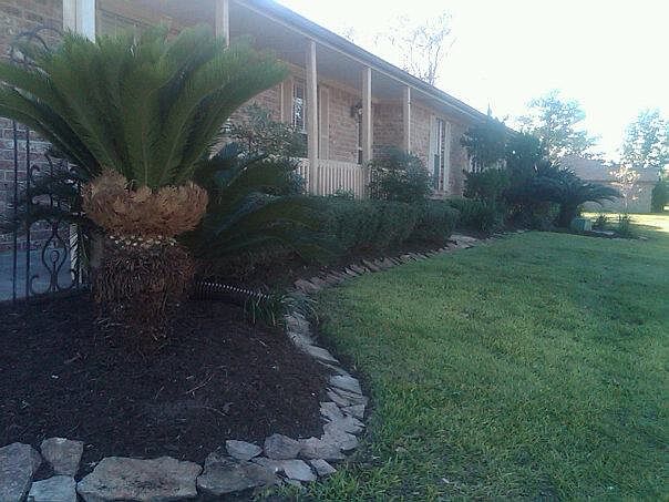 landscaping low maintance 