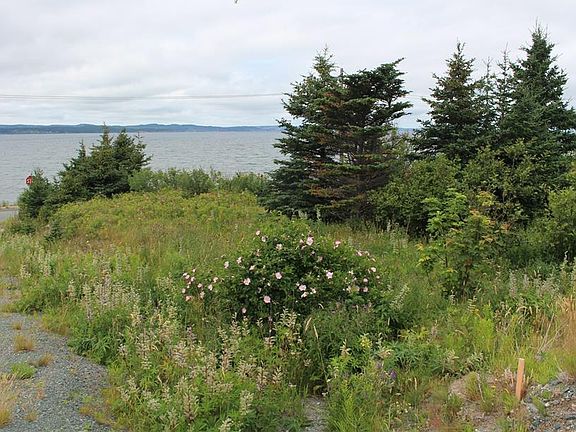 4th image of 289-291 Seal Cove Road