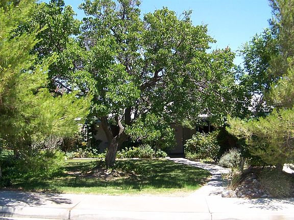 5th image of 541 Stanford Dr