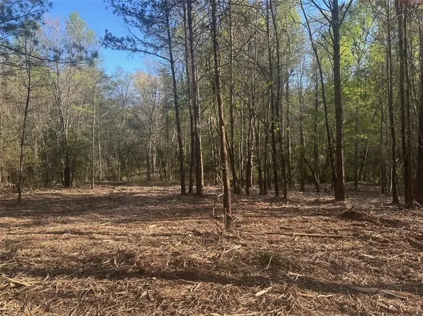 0 Lee Mashburn Rd, Dahlonega, GA 30533