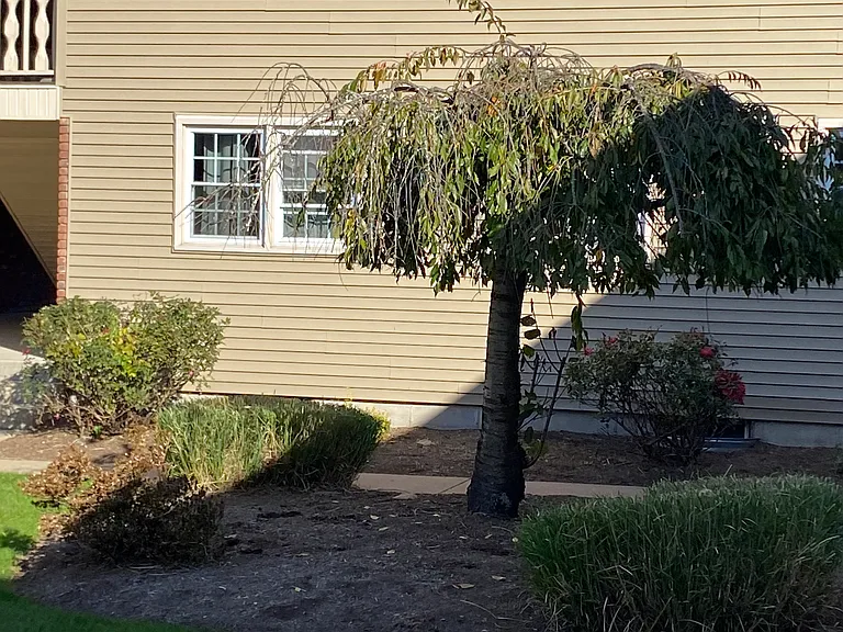 420 Main St #26 — Photo 9