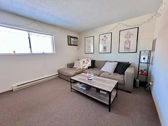 Falcon Heights — Photo 4