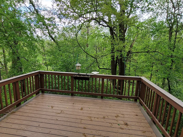 View from Upper Deck