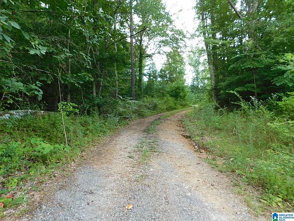 2nd image of 10566 State Highway 23 #2