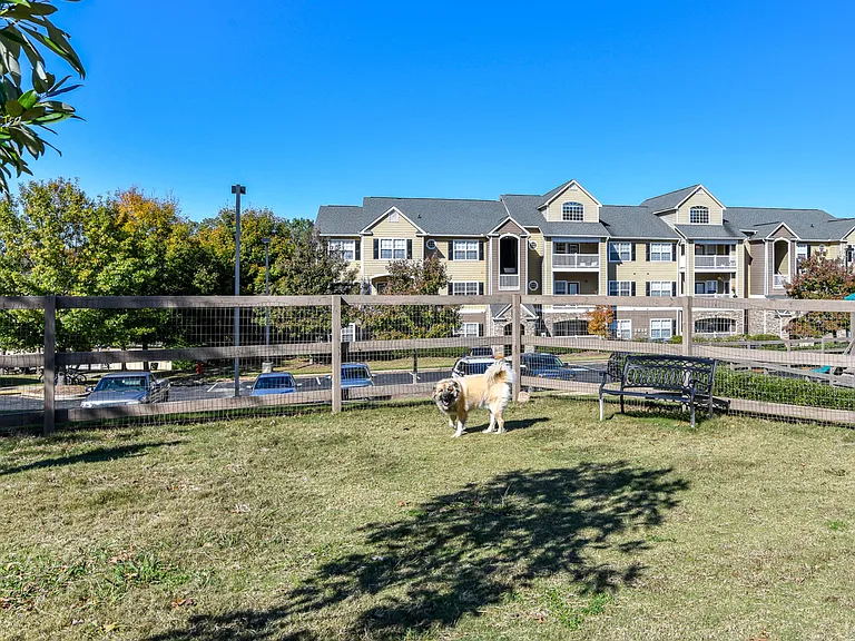 The Dog Park
