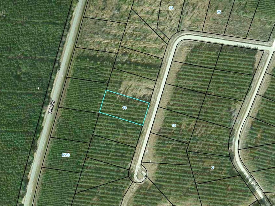 2nd image of 18 Satilla Plantation