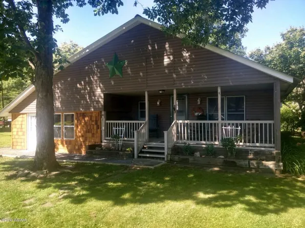 36 Lyons Ln, Renovo, PA 17764