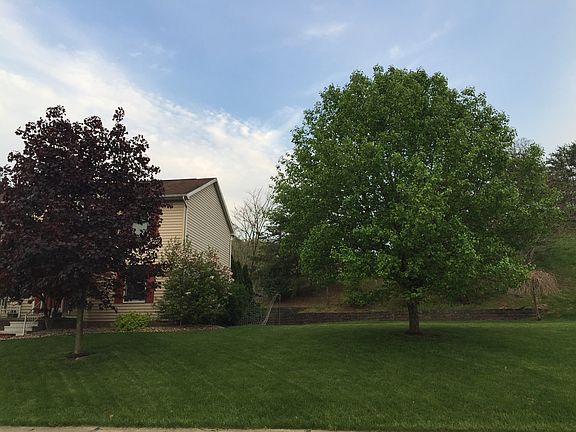 4th image of 10 Elmwood Drive