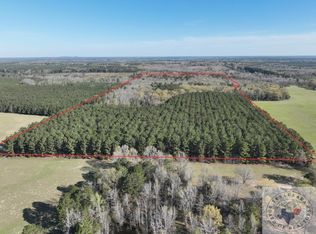 Easement Rd, Linden, TX 75563