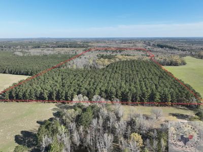 Easement Rd, Linden, TX, 75563