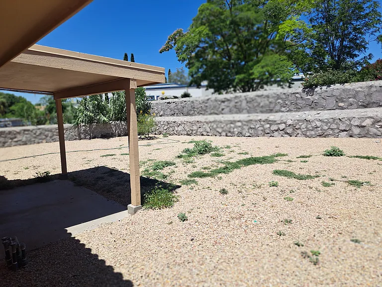 Back yard and patio