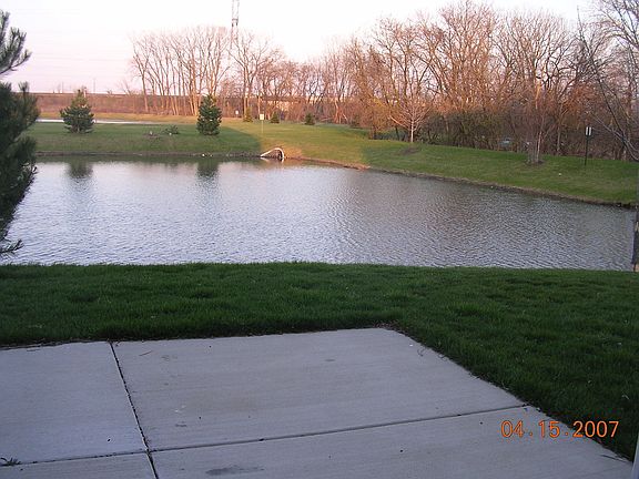 Picture Perfect Backyard