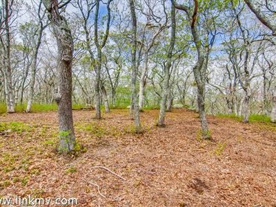 98 Kings Hwy, Chilmark, MA, 02535