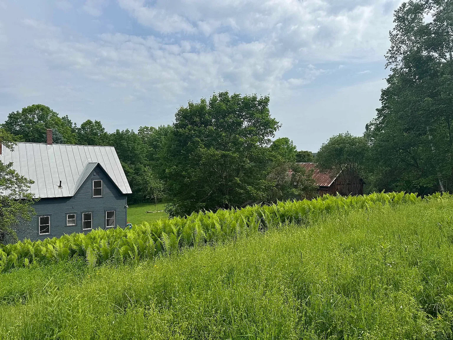 4 bed, 1680 sqft, $3,800 — Photo 4
