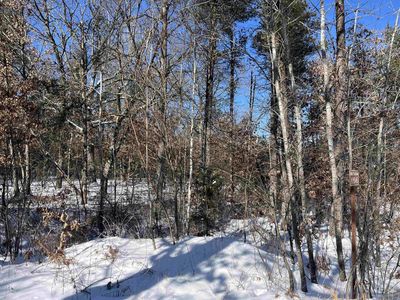 N9545 Paradise Lane, Necedah, WI, 54646