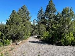 141 Big Canyon Pt, Ridgway, CO 81432