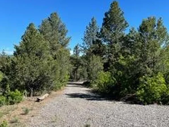 141 Big Canyon Pt, Ridgway, CO 81432