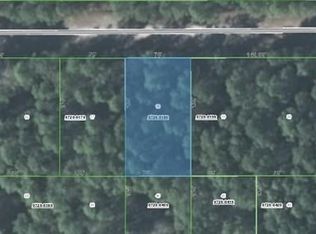 135 Helen Ave, Georgetown, FL 32139