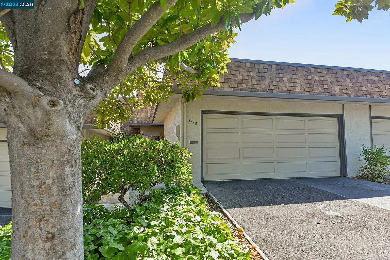 1715 Holland Cir photo 1